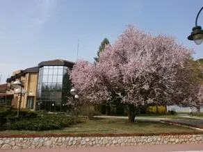 Hotel Golubacki Grad - Image 2