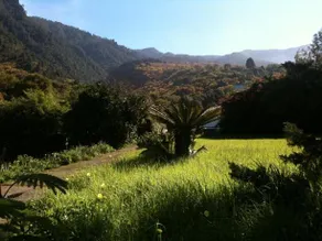 Finca La Hondura - Image 3