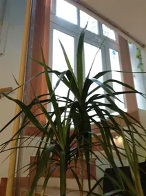 Bohemian Apartment - Image 2