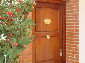 Valeria del sol - Image 2
