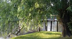 Cabanas Bocas Del Tigre - Image 4