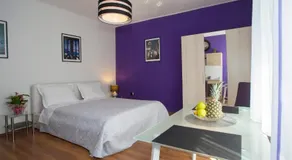 Gaston Luxury Apartment - Image 4