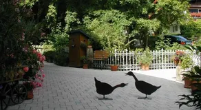 Haus Wildbachtobel - Image 2
