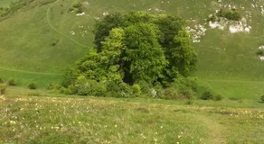 Broadhurst BandB - Image 5