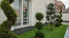 Vivo House - Image 3