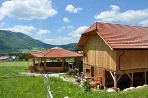 Hof zu Steinern - Image 2