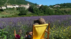 Le Jas de Verdolier - Image 5