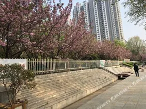 Ruifan Hotel - Image 4