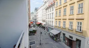 Vienna Living Apartments - Staatsoper - Image 3
