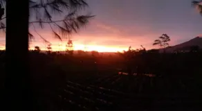 Harumi Dieng Homestay Syariah - Image 2