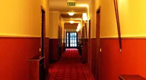 Revita - Image 2