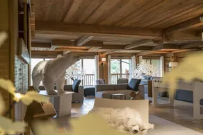 Les Chalets Du Gypse - Image 3