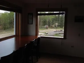 Denali Park View House - Image 5