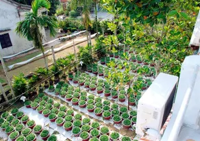 Flower Village Real Homestay - Image 5