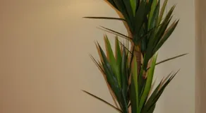 Villa Golf 6 - Image 4