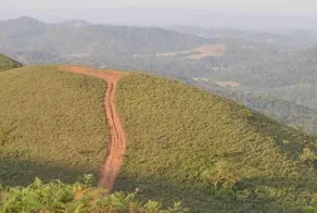Kadumakki Resorts - Image 5