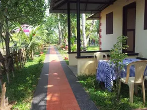 Mangrove Island Village - Image 4
