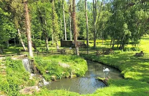 Domaine Du Plessis Luzarches - Image 5