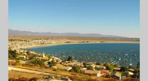 Tongoy Beach Tinyhouse - Image 2
