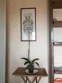 Casa Vacanze "Animuccia House" Roma - Image 3