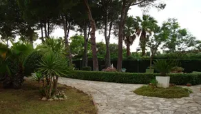 Rosamarina - Image 4