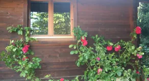 Chalet Alpine Rose - Image 5