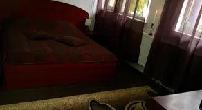House In The Woods - Image 3