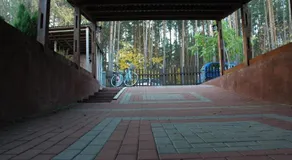 Juozo Namas - Image 2