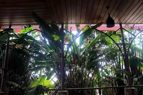 Limrock Hotel - Image 2
