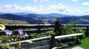 Gartenwohnung auf der Sommeralm - Image 3