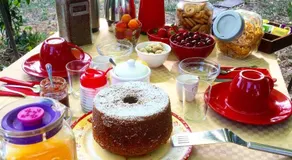 Apricot Bed and Breakfast - Image 3