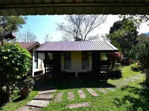 Apple Camp Khao Yai - Image 3