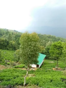 Vythiri Hills Resort - Image 3