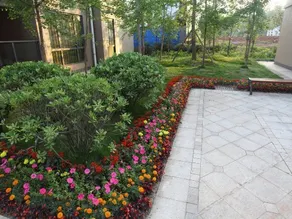 Jasmine Jinjiang Internation Hotel - Image 5