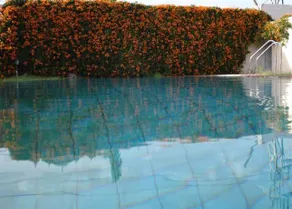 Hotel Honeydews Retreat - Image 5