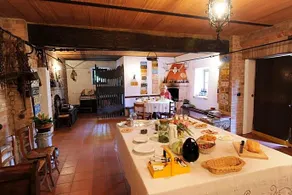 Hazelnut Valley - Image 5