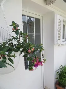 Viola Apartment - Image 2