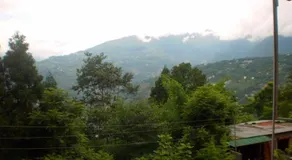 Green Retreat - Image 5