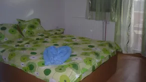 Cabana Ioana Balas - Image 5