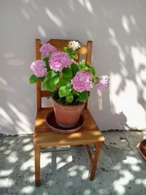 Guest House Silenzia - Image 3