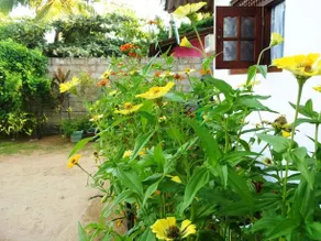 Maya Guest House - Image 5