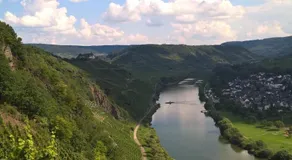 Mosel Ausblick - Image 3