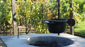 Agnes' Vineyard - Image 3