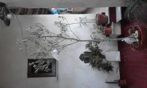 Casa Magda - Image 3