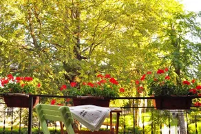 Locanda Pecora Nera - Image 5
