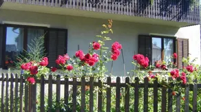 Guest House Kmetija - Image 4