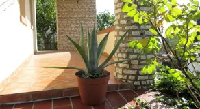 Mediterran apartman - Image 2