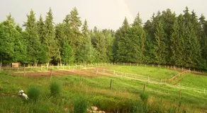 Ranch Kaja & Grom - Image 2