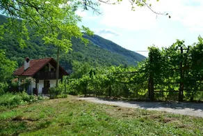 Hisa V Sadovnjaku - Image 5