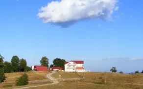 Pensiunea Runcu Stone - Image 2